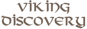 Viking Discovery